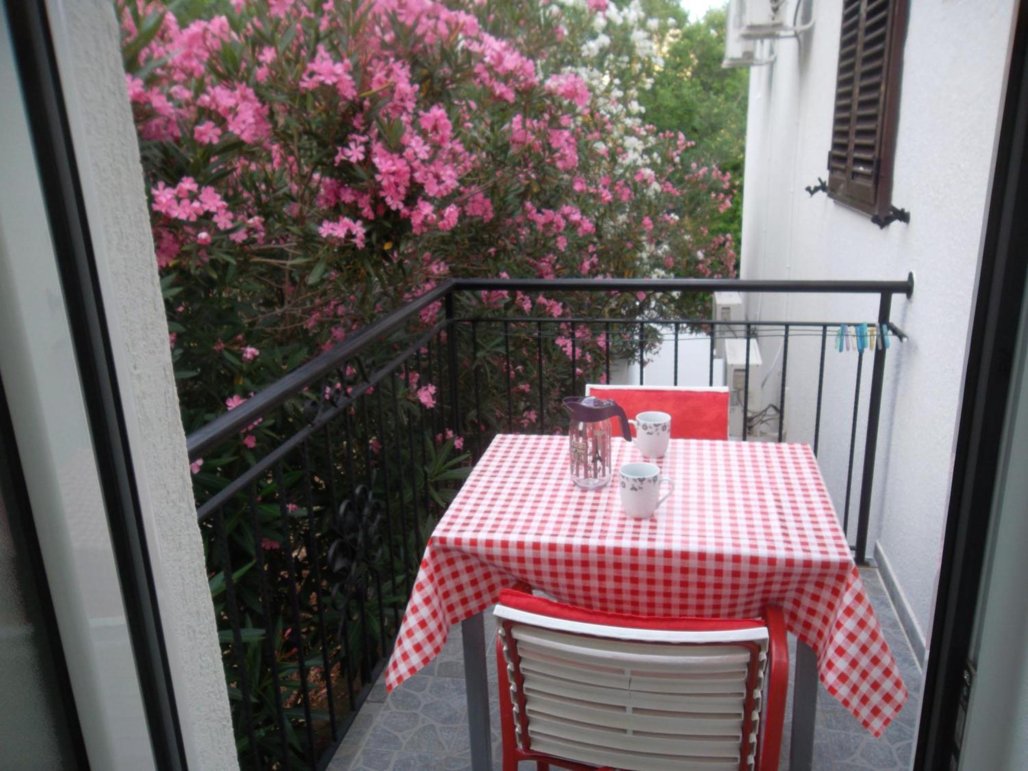 Guest House 4M Petrovac Rum bild