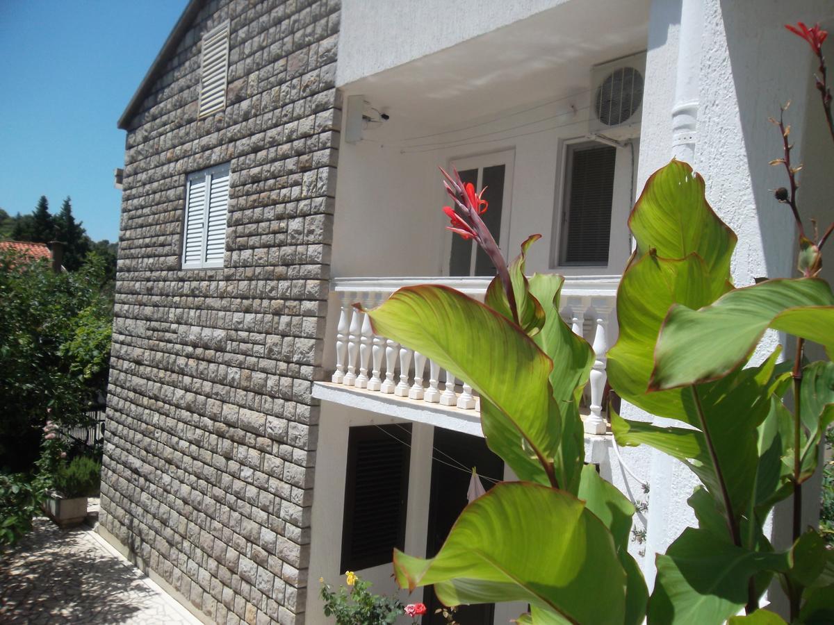 Guest House 4M Petrovac Exteriör bild